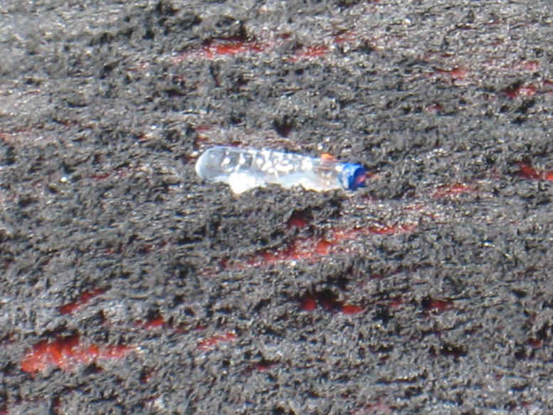 Water_bottle_4.JPG (188388 bytes)