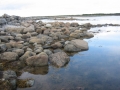 white_sea